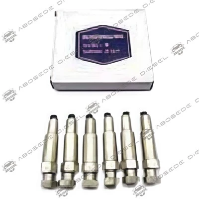 P HOM PUMP (6PCS) Φ12.3 - Precision Matched Plunger & chim Teeb rau Common Rail Systems
